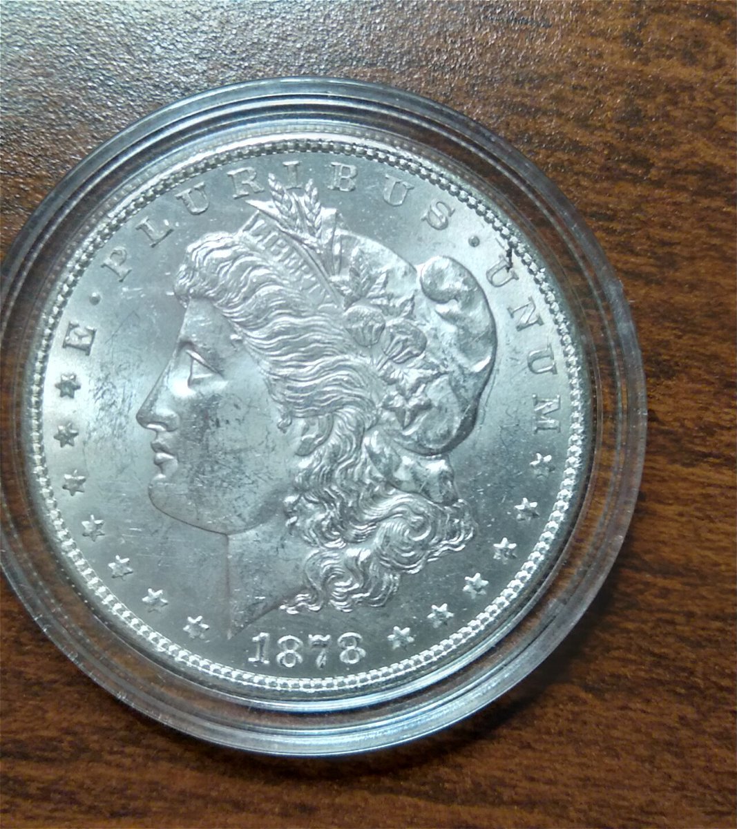 Grading-Opinion-On-1878-Dollar